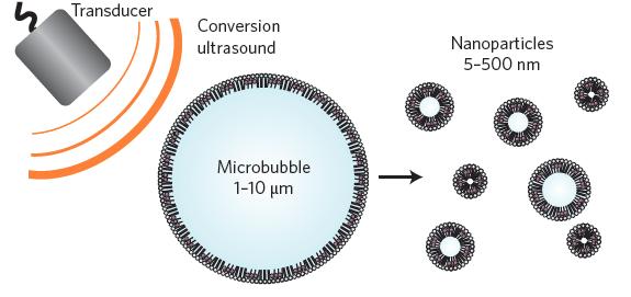 From micro to nano bacteriochlorophyll-lipid In situ conversion of porphyrin microbubbles to nanoparticles for multimodality imaging Elizabeth Huynh, Ben Y. C. Leung, Brandon L.