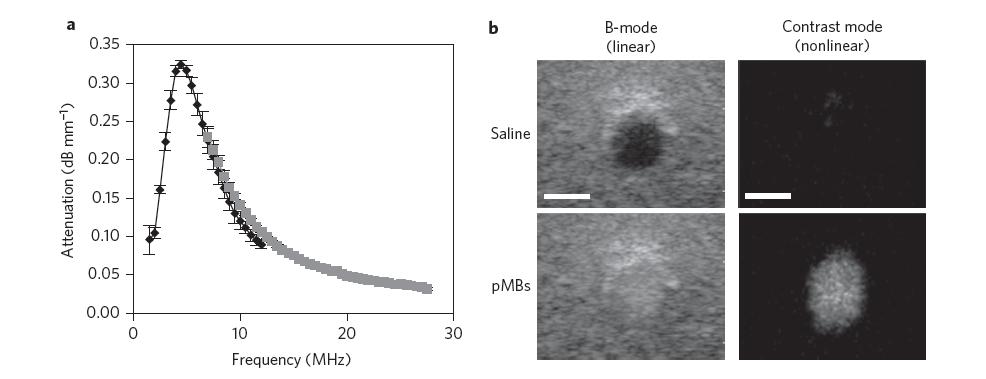 Basic properties of BChl-lipid microbubbles a) Acoustic attenuation measurement