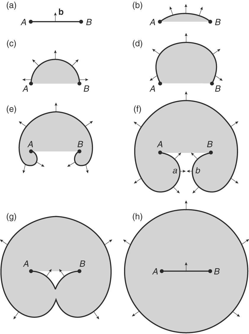 Origin of Dislocations Fig. 9.19 Dislocation multiplication in a Frank-Read source. A pinned dislocation with Burgers vector, b, bows out during glide (b g) to form a new dislocation (h).
