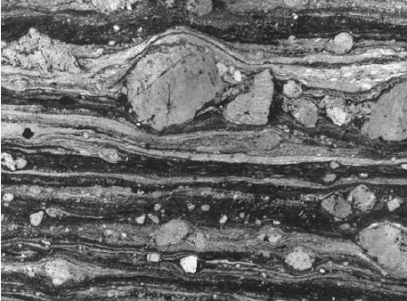 showing relatively strain-free grains with straight grain boundaries and representing the most deformed stage in a marble mylonite From a microstructural