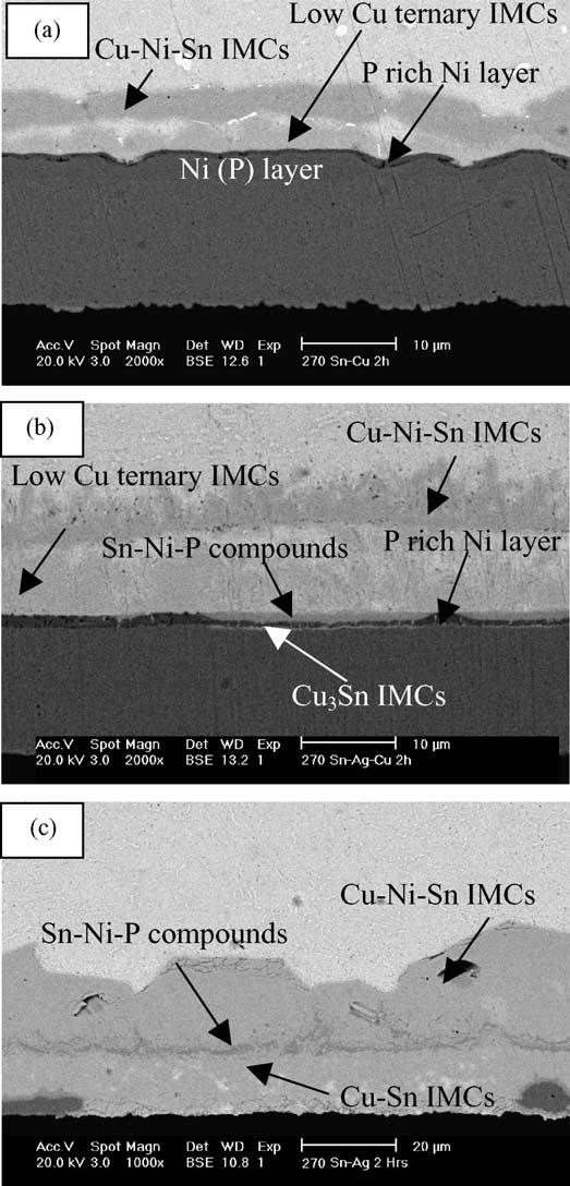 80 A.Sharif et al./ Journal of Alloys and Compounds 388 (2005) 75 82 Fig. 6. SEM micrographs showing the interface after soldering for 2 h at 270 C of (a) Sn 0.7%Cu, (b) Sn 3.5%Ag 0.5%Cu and (c) Sn 3.