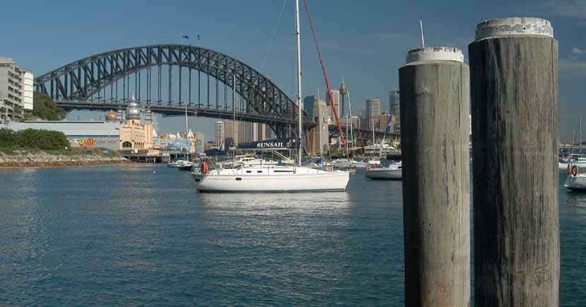 Lavender Bay, Sydney, NSW. Double Treat marine piles fade to a light brown appearance over time and have proved to be a cost effective, functional, people friendly product ideal for public use spaces.