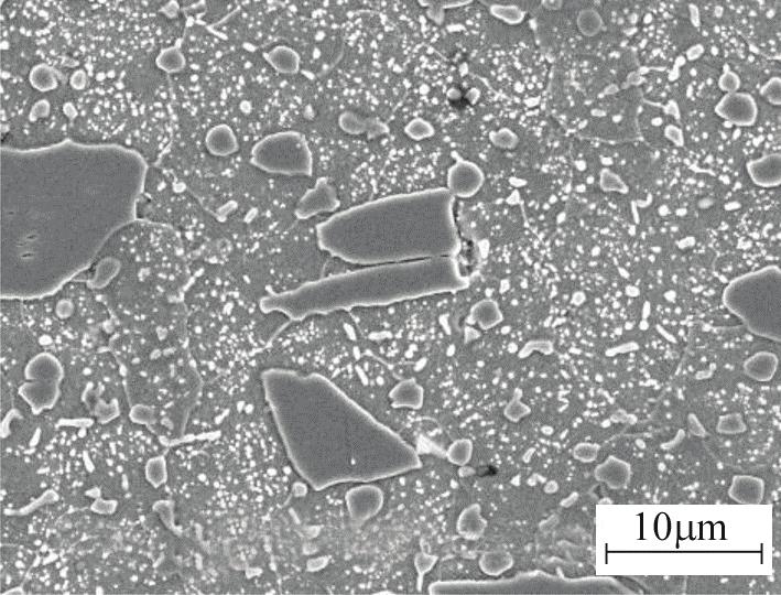 WEAR AND BLANKING PERFORMANCE OF AlCrN PVD-COATED PUNCHES 515 Fig. 1. SEM micrograph showing the microstructure of an X155CrVMo 12-1 punch tool ( 2500).