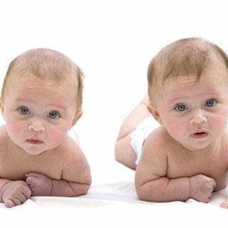 Purification WGBS Sequencing Analysis What is Epigenetics? Why are twins different?