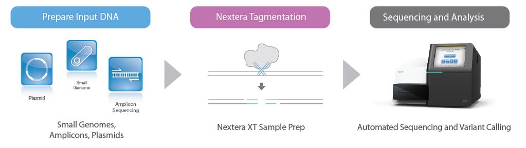 Nextera XT Sample Prep Workflow Complete DNA to data in only 8 hr with MiSeq 1 ng