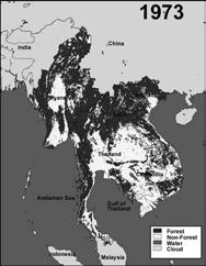 Deforestation in the Tropics Deforestation in Southeast Asia The rate of loss is increasing 1981 11 million ha per year 1990 17 million ha per year Area