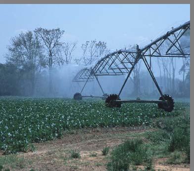 Environmental Quality Incentives Program (EQIP) EQIP practices may include: Improved irrigation