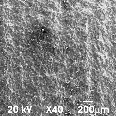 SEM micrographs of pit sites at the surface of ENAW 6082.