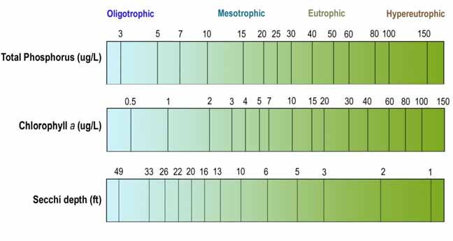 Water Quality Characteristics - Historical Means and Ranges Table 5. Water quality means and ranges for primary sites. Parameters Primary Site 101 Total Phosphorus Mean (ug/l): 20.