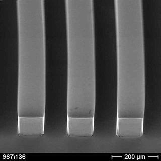 lines 80 µm