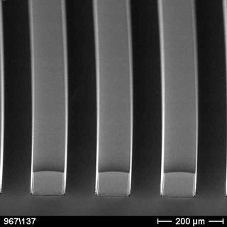 µm dense 100 µm