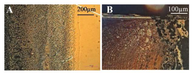 Z. Edfouf et al. / Energy Procedia 69 ( 5 ) 58 58 57 corrosion. But at those samples, protected edges are not reached.