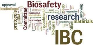 Institutional Biosafety Committee (IBC) The NIH Guidelines require that research be performed under the oversight of an Institutional Biosafety Committee (IBC).