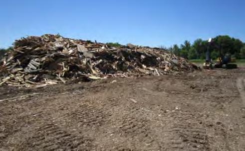 Wood Possible Future Program for Niagara Collection Wood separated at each Regional Dropoff Depots Stockpiled
