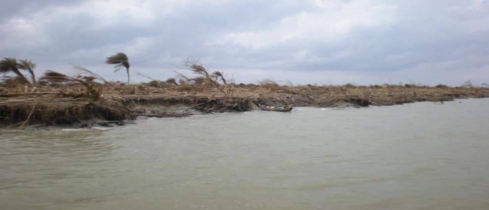 Damages of Mangrove forest Pre