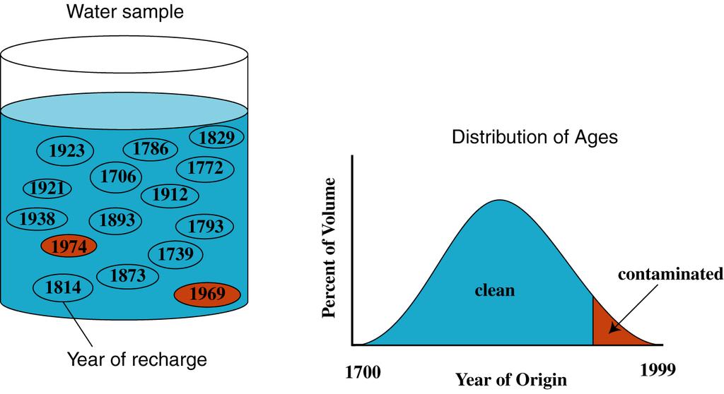 Age Distribution & Sustainability: