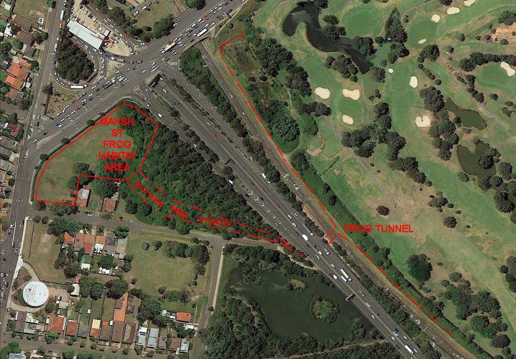 Figure 4: Approximate location of frog underpass under M5 East