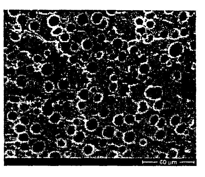 Crystallization Behavior of Nanocomposites 401 Figure 2. The scanning electron micrograph of microcells in nanocomposite part. PA-6 microcellular Figure 3.