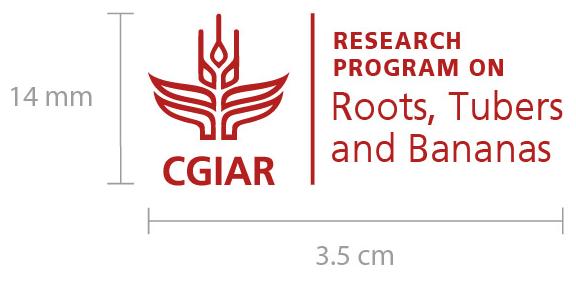 The minimum pixel size for digital use of the logo, such as on websites, is: 140 x 58 px RESEARCH PROGRAM ON Roots, Tubers and Bananas RESEARCH PROGRAM ON Roots, Tubers and Bananas 3.