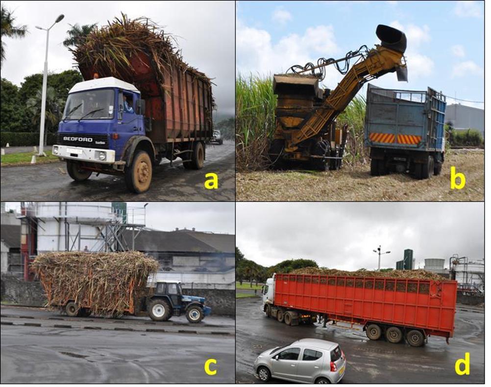 Four types of vehicles were available at the mills, namely 6, 15, 18 and 33 ton carriers (Figure 1). Estimates of transport costs were obtained from the local garage managers (Jugurnauth, 2013).