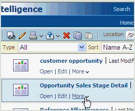 Select More from the menu. A new browser window or tab is displayed that contains the Oracle BI Presentation Catalog. 4.