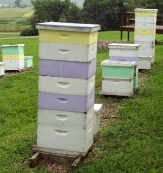 Provide place for bees to congregate 3.