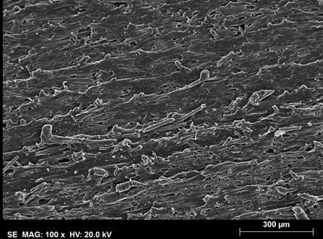 Figure 2 - SEM images for the samples C (left) and D (right) obtained by the secondary