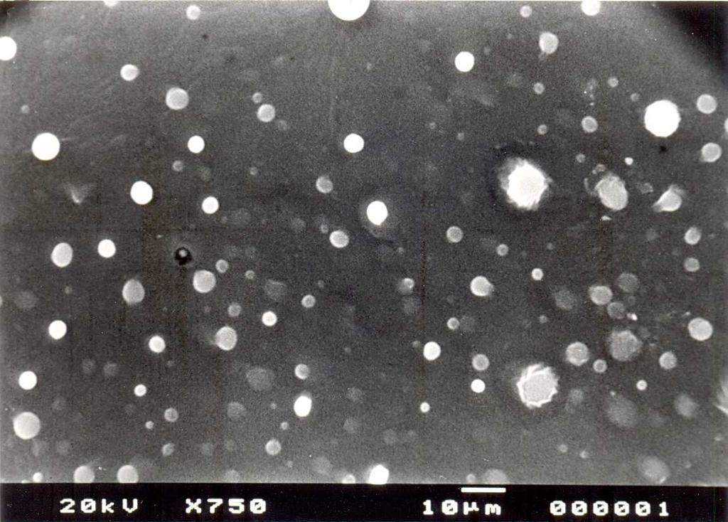 Fig.6 Scanning electron micrograph of carvedilol phosphate transdermal