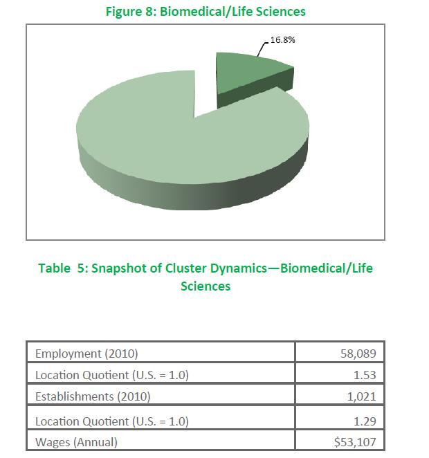 Biomedical / Life Sciences South Central Connecticut Definition and Scope per CEDS: Components and Partners: Large pharmaceutical companies Small start-ups CRO s Develop drugs, therapies, devices