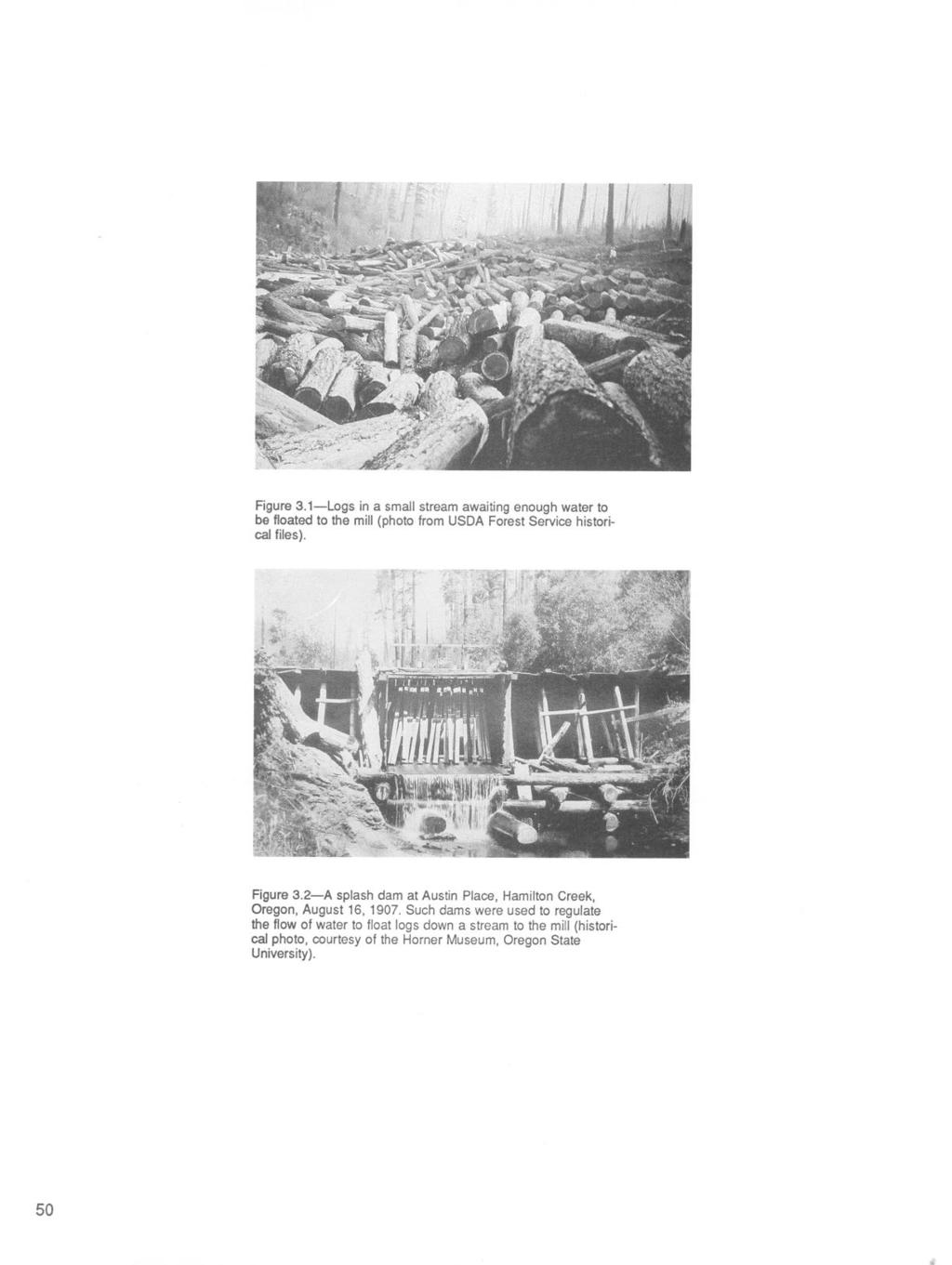 Figure 3.1-Logs in a small stream awaiting enough water to be floated to the mill (photo from USDA Forest Service historical files). Figure 3.