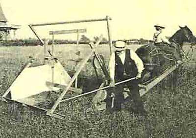 Agricultural Machinery The cotton gin, invented by American Eli Whitney in 1793, increased cotton production. Cyrus McCormick s mechanical reaper (1834) increased wheat production.