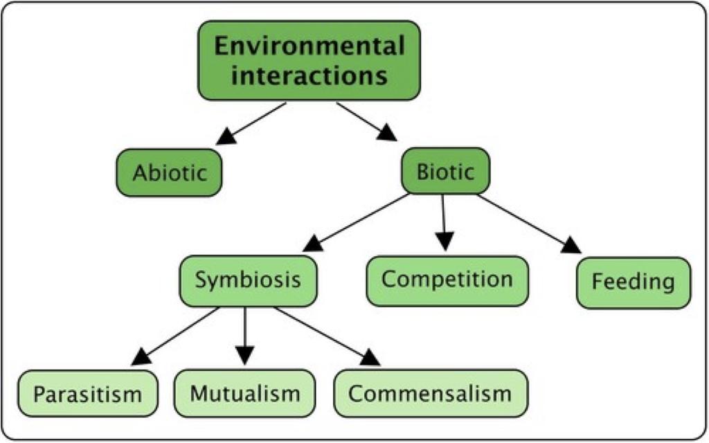 Assessment Anchor: to describe biotic interactions in an ecosystem (e.g. competition, predation, symbiosis) (B.4.2.