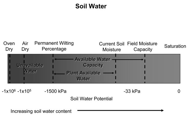 Soil Quality: Some Basic Considerations and Case Studies Johnson Figure 1. Schematic representation of soil water fractions. content) (fig. 1).