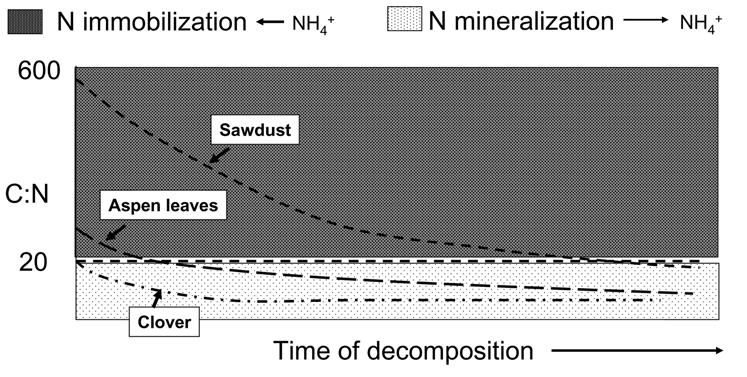 Johnson soil Quality: Some Basic Considerations and Case Studies Figure 4. Schematic representation of the effects of soil C:N ratio on net N mineralization and immobilization.