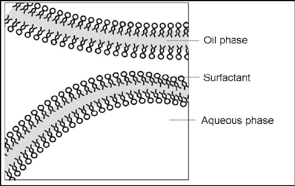 Figure 2 O/W type, W/O type and Bicontinuous microemulsion Microemulsions have various textures such as oil droplets in water, water droplets in oil, bi continuous mixtures (Fig 2).