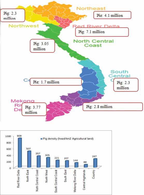 26 Smallholder pig value chain development in Vietnam: Situation analysis and trends Distribution of pig production in regions In 2011, the Red River Delta had the largest pig population in the