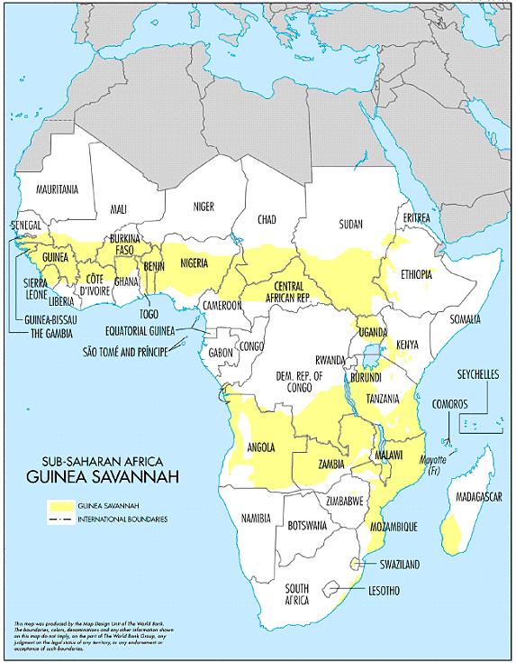 The Guinea Savannah (in yellow) Most of Angola is part of the Guinea Savannah and consists a highland massif bounded by a tiny strip of lowlands with an altitude between 0 and 200 m (NEDAP, 2005).