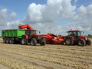 Arable production can yield an appealing IRR of well above 25%. Potato harvest Onion harvest 19.6.