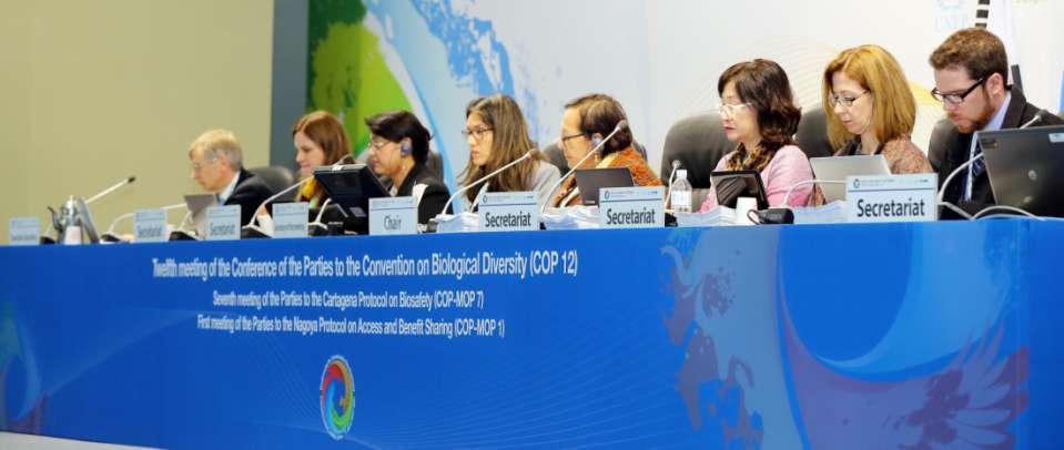 COP 12: Pyeongchang, Republic of Korea, 6-17 October 2014 How to facilitate the implementation of Priority Action Plan