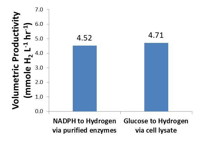 Proof of Principle: Hydrogen Production from Glucose Cell Lysate plus Purified FNR, Fd, & H