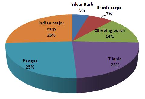 In 2000 60% of these fish (Pangas, Tilapia, Climbing Perch) where not present in the