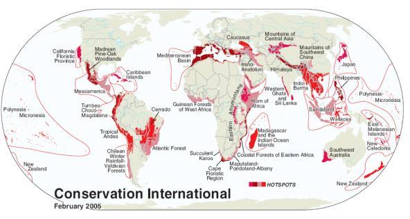 Hong Kong biodiversity is of global significance Myers et al (2000) Biodiversity Hotspots for Conservation Priorities. Nature 853-858.