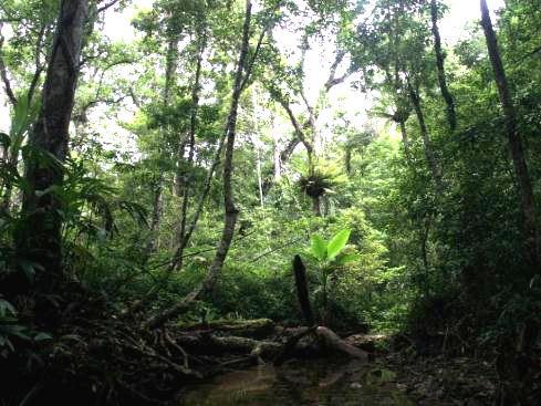 Why Hong Kong has such a high biodiversity?