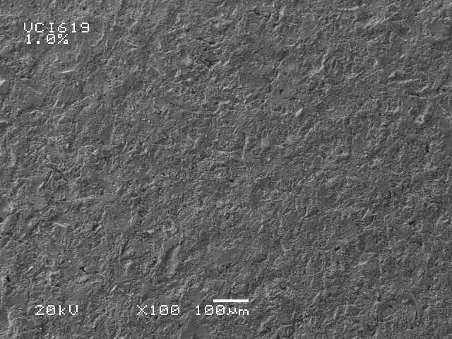 Fig. 10: SEM micrographs of Corrosion