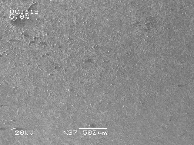Fig. 12: SEM micrographs of Corrosion