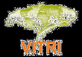 PART TWO: VITRI VITRI mission To promote ecologically, socially and economically sustainable use and management of tropical forests and