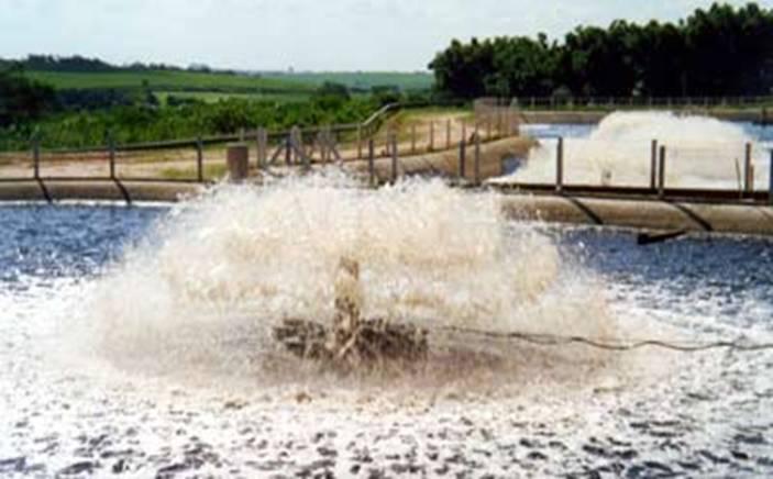 Water treatment station Usina Santa Elisa