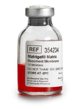 Matrigel matrix has also been used for: w In vivo xenograft generation of human tumors in immunosuppressed mice w Feeder-free expansion of both human embryonic and induced pluripotent stem cells w