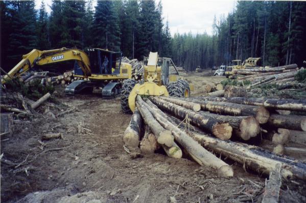 measured % average length under/over, cm 72 78 87 79 11 12 6.2 14 13 9.8 9 10 3.1 9 8 3.1 4.3 Grapple skidder productivity Examples of large turn volumes are shown in Figures 4 and 5.