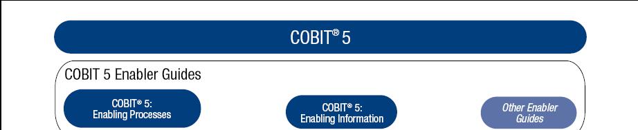 COBIT 5 Product